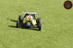 DSC_1985