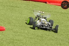 DSC_2017