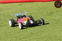 DSC_2101