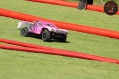 DSC_2251