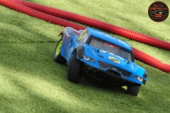 DSC_2551