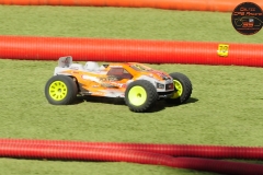 DSC_2568